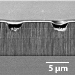 Porous silicon integrated Mach-Zehnder interferometer waveguide for biological and chemical sensing