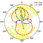 Terahertz photoresponse of black phosphorus